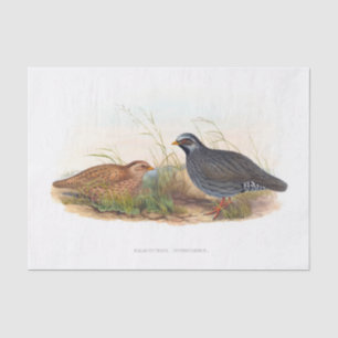 Papel De Seda Decoupage do Quail de Montanha