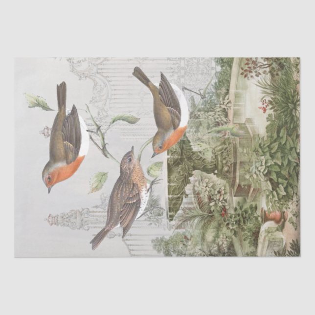 Papel De Seda Decoupage do Robin Bird Garden (Frente )