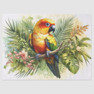 Papel De Seda Decoupage do Sun Conure