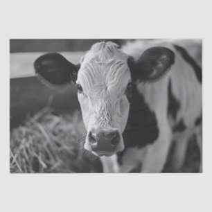Papel De Seda Decoupage em Preto e Branco da Vaca Holstein