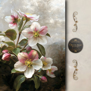 Papel De Seda Decoupage Flor de Maçã Rosa Pintura