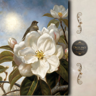 Papel De Seda Decoupage Flor de Magnólia com Pássaro Vintage