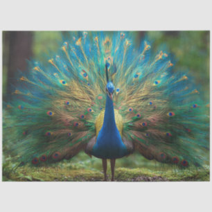 Papel De Seda Decoupage Florestal Pavão Real