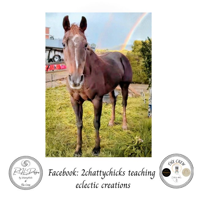 Papel De Seda Decoupage Horse in Field Rainbow  (Criador carregado)