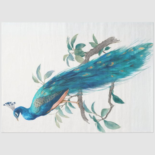 Papel De Seda Decoupage Natures Crown Botanical Peacock  (Frente )