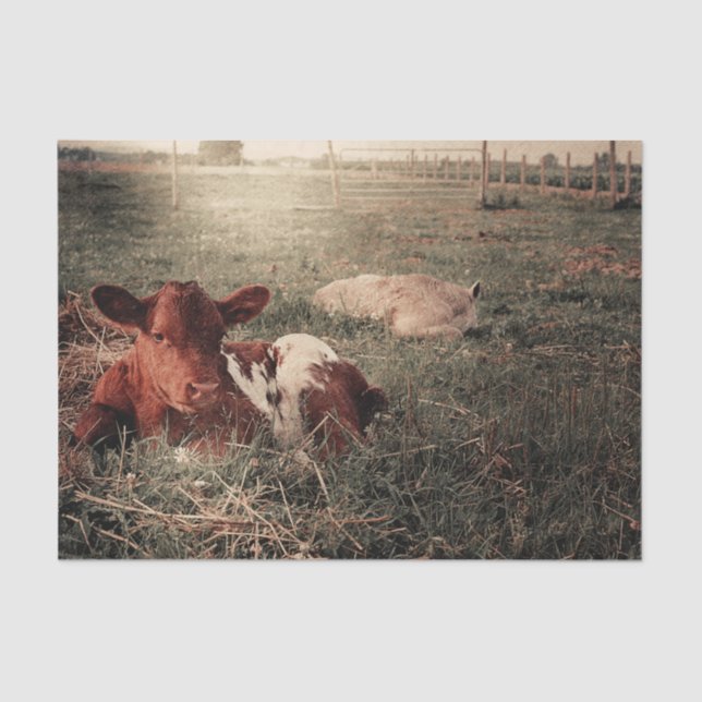 Papel De Seda Decoupage Rústico de Fazenda com Vaca (Frente )