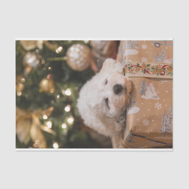 Papel De Seda Decoupage sazonal de Feriado de Cão de Natal (Frente )