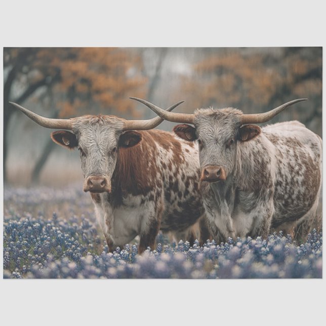 Papel De Seda Decoupage Texas Longhorns Campo Flores Bluebonnet (Frente )