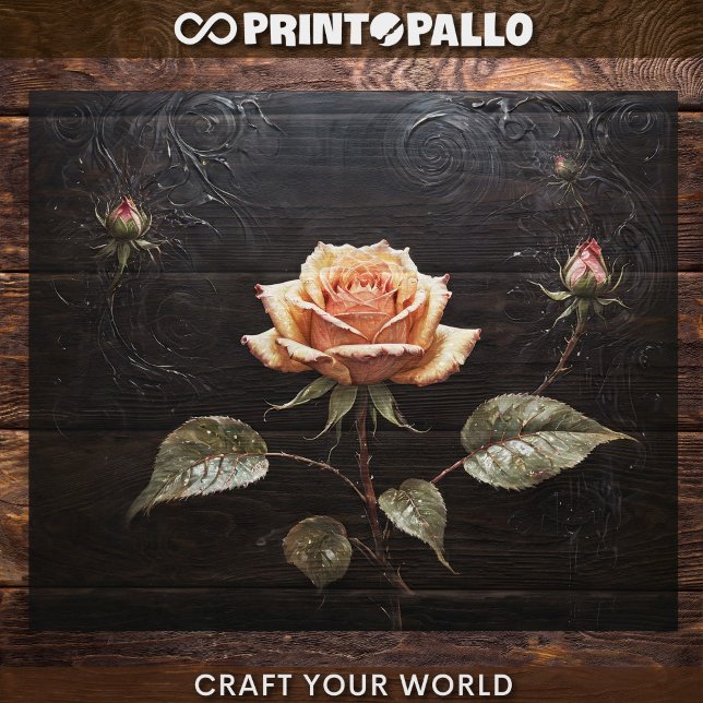 Papel De Seda Decoupage - Uma única rosa rosa em preto -  (Criador carregado)