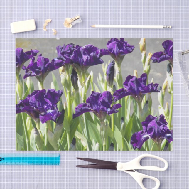 Papel De Seda Deep Purple Irises Floral (Arte )