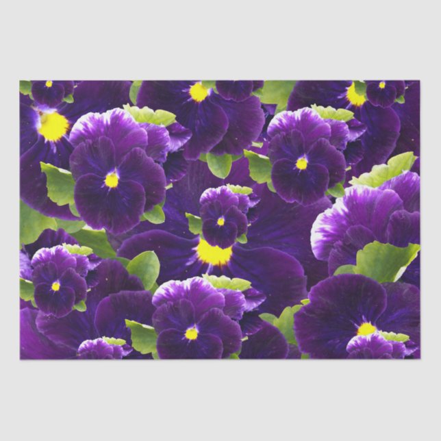 Papel De Seda Deep Purple Pansy Clusters: Beleza Majestosa (Frente )