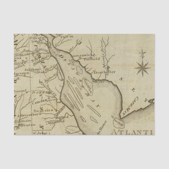 Papel De Seda Delaware (Frente )