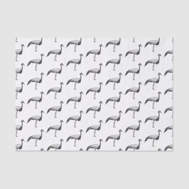 Papel De Seda Demoiselle crane bird cartoon illustration  (Frente )
