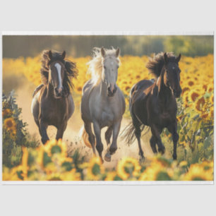 Papel De Seda Desacoplamento 3 Cavalos em campo Sunflower