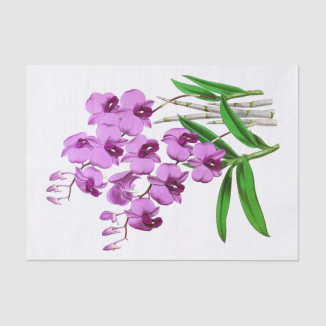 Papel De Seda Desacoplamento de Flores Orquídeas Exóticas Roxas  (Frente )