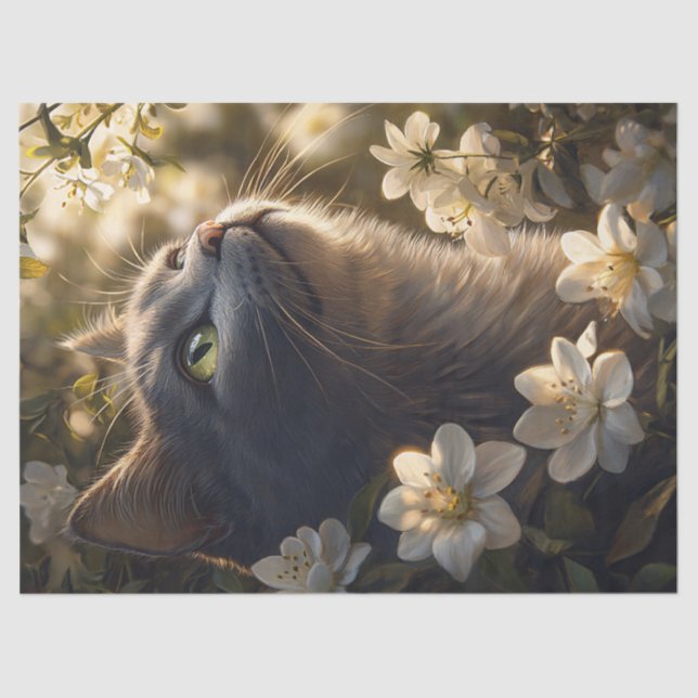 Papel De Seda Descamação de Flores Brancas de Gato Azul Russo (Frente )