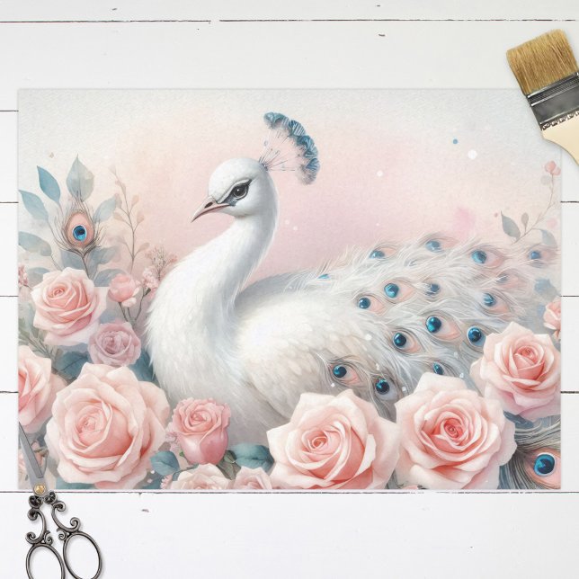 Papel De Seda Descamação de Rosas Rosa-Rosa Blush White Peacock (Criador carregado)