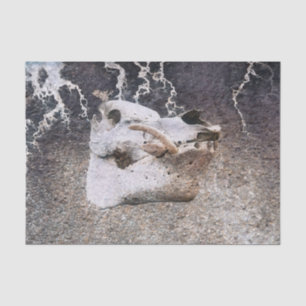 Papel De Seda Descamação de Textura da Fazenda da Cinza do Cavei