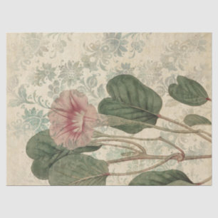 Papel De Seda Descamação Floral Cor-de-Rosa Grande