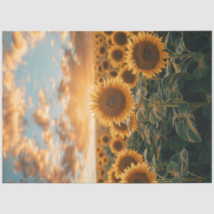 Papel De Seda Descapa Campo de girassol Céu de sol