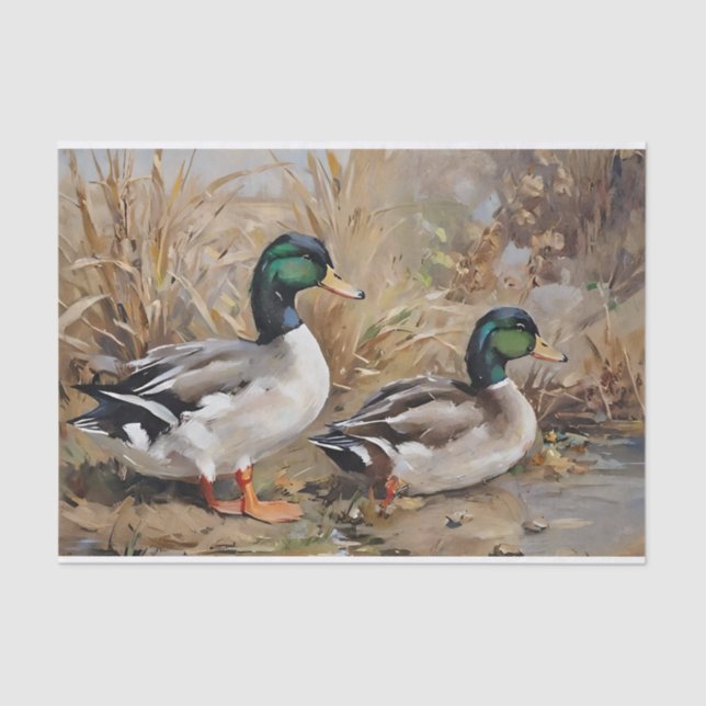 Papel De Seda Descaptação de Aquarela dos Patos-de-Mallard (Frente )