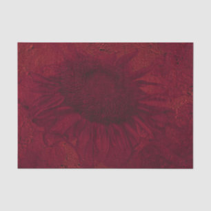 Papel De Seda Descaptação de Textura Vermelha Escura de Girassol