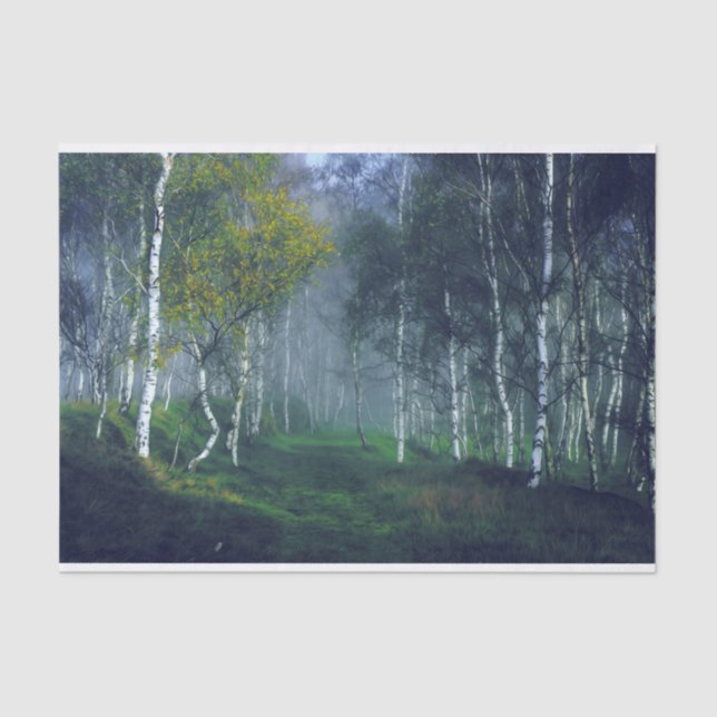 Papel De Seda Descarte de Pintura de Óleo da Floresta de Nascime (Frente )