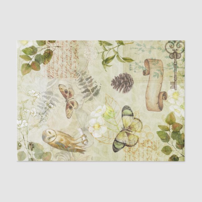 Papel De Seda Descolagem da Borboleta da Floresta Florestal Selv (Frente )