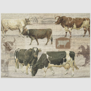 Papel De Seda Descolagem de Madeira de Fazenda russa