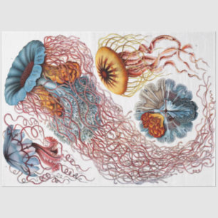 Papel De Seda Desconto do Mar 8 Desordem de Ernst Haeckel 