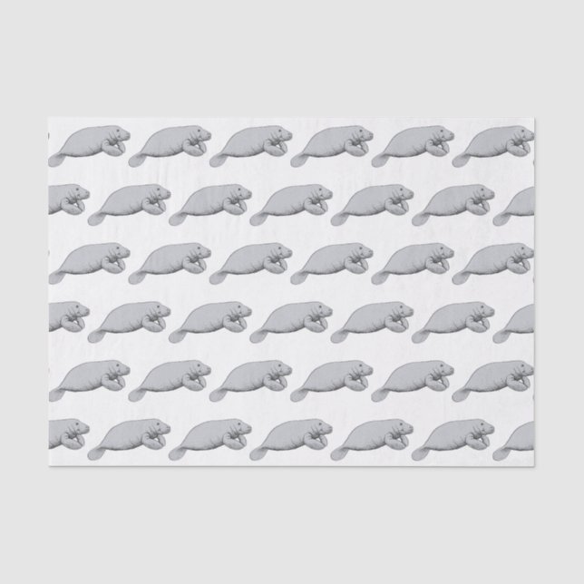 Papel De Seda Desenho Antigo de Manatim (Frente )