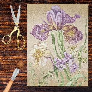 Papel De Seda Desenho Botânico de Íris Antiga em Roxo e Dourado