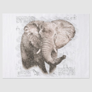 Papel De Seda Desenho de elefante