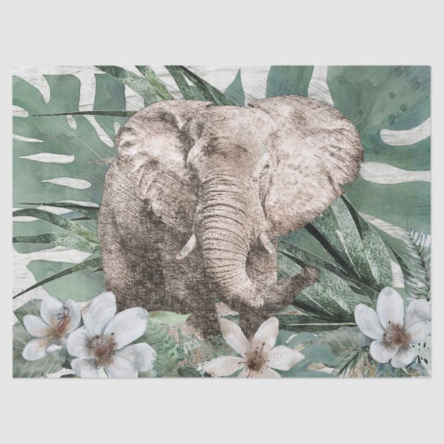 Papel De Seda Desenho de elefante (Frente )