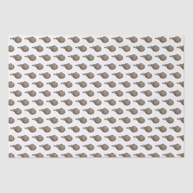 Papel De Seda Desenho de Peixe Globo Peixe-balão Antigo (Frente )