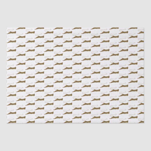 Papel De Seda Desenho de Vintage Stingray (Frente )