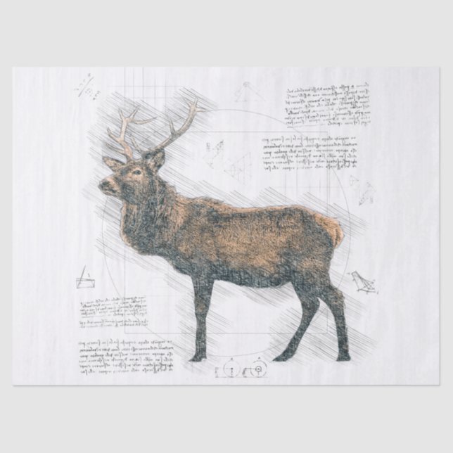 Papel De Seda Desenho do Elk Stag (Frente )