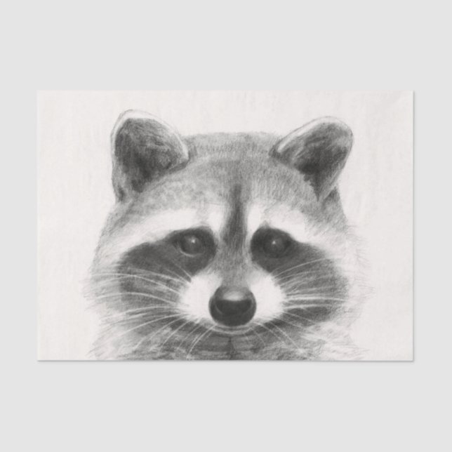Papel De Seda Desenho do Lápis de Raccoon (Frente )