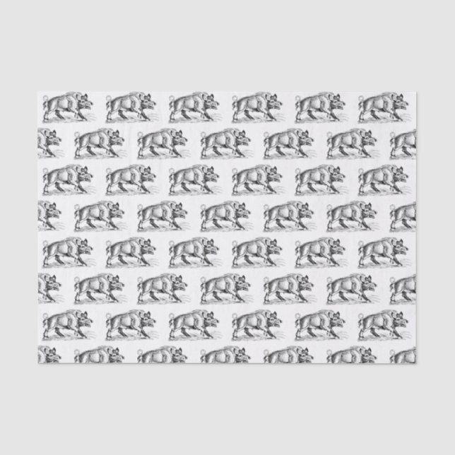Papel De Seda Desenho em Preto e Branco de Javali Antigo #2 (Frente )