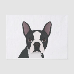 Papel De Seda desenhos animados do terrier de Boston