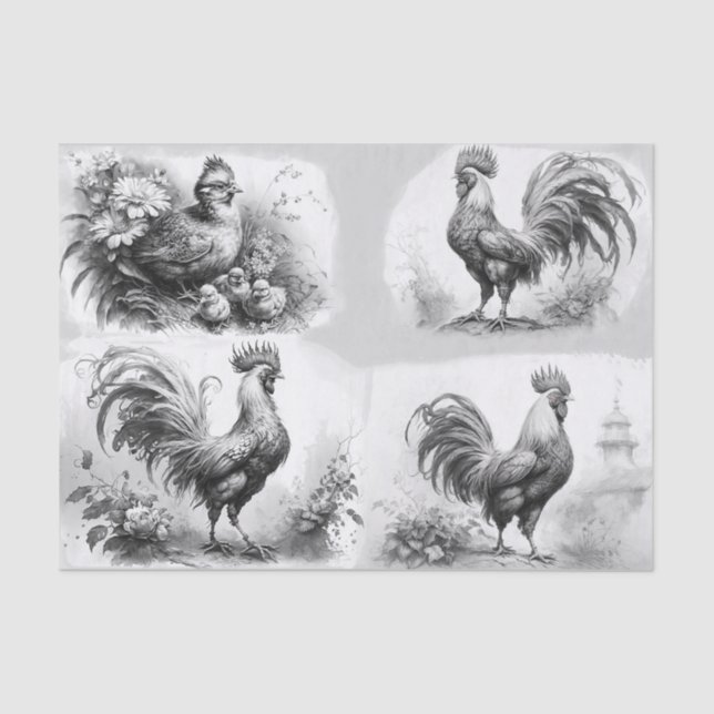 Papel De Seda Desenhos do Rooster (Frente )