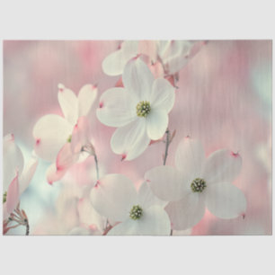 Papel De Seda Desentupir Flores De Dogwood Rosa Delicadas