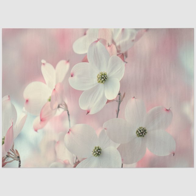 Papel De Seda Desentupir Flores De Dogwood Rosa Delicadas (Frente )