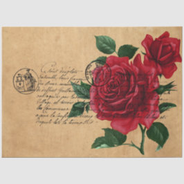 Papel De Seda Design 10 da Série de Manuscrito e Rosa vermelha e