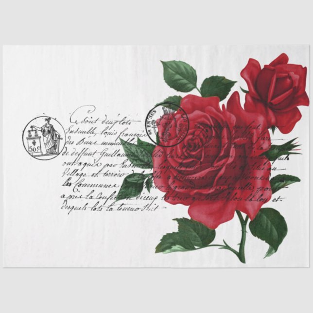 Papel De Seda Design 11 da Série de Manuscrito e Rosa vermelha e (Frente )