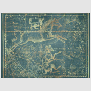 Papel De Seda Design 28 do Dourado Star Map Series