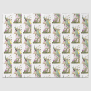 Papel De Seda Design 5 da série Peacock