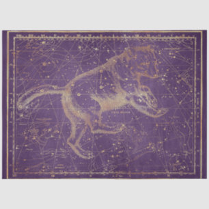 Papel De Seda Design 7 da Série Star Map Dourada