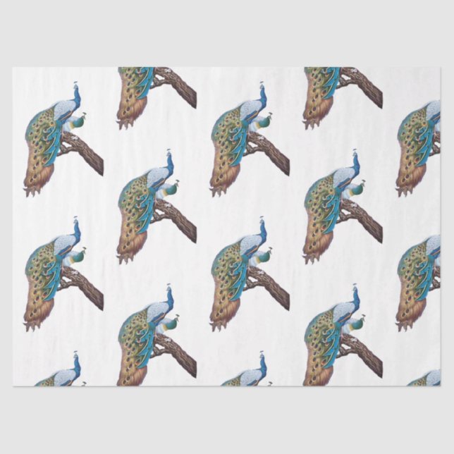 Papel De Seda Design 9 da série Peacock (Frente )