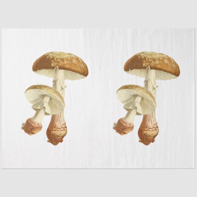 Papel De Seda Design da série Mushroom Ephemera nº 26 (Frente )